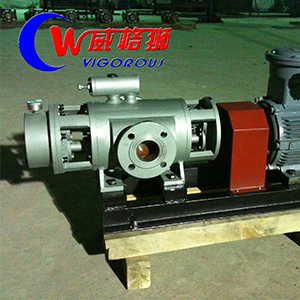 2GbS-系列雙螺桿泵圖八產(chǎn)品圖2