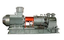 2GbBRT-系列高溫不銹鋼雙螺產(chǎn)品圖11