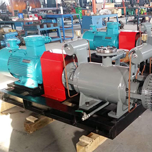 2GaRT-系列高溫粘膠輸送泵圖十三產(chǎn)品圖2